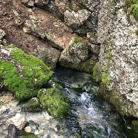 Апартаменты Trailhill Mesihovina