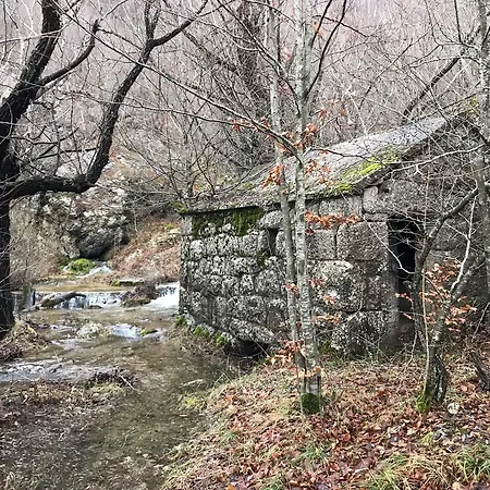 Trailhill * Mesihovina