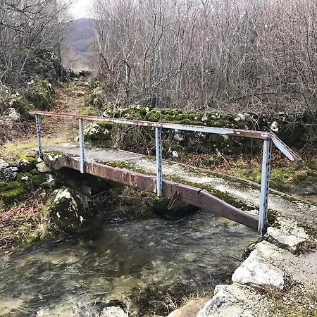 Trailhill Mesihovina